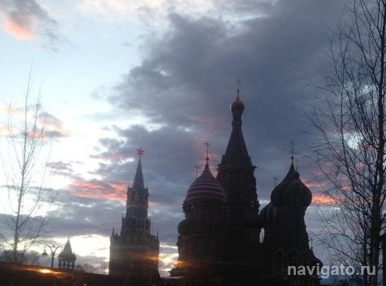 Организация и функционирование моргов в Москве