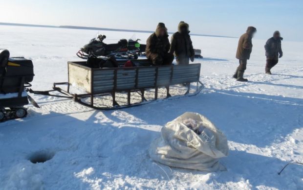 5 лет тюрьмы грозит браконьерам за ловлю рыбы в Новосибирском водохранилище