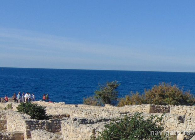 Новый микроорганизм назвали в честь братьев Стругацких