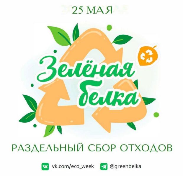 Волонтёры организуют благотворительный сбор вторсырья