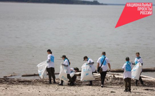 В День эколога волонтеры убрали территорию пляжа в Академгородке