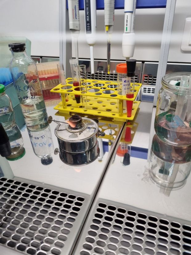 Исследования молодых ученых отмечены правительством региона