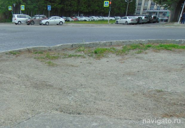 В Советском районе начали восстанавливать газоны