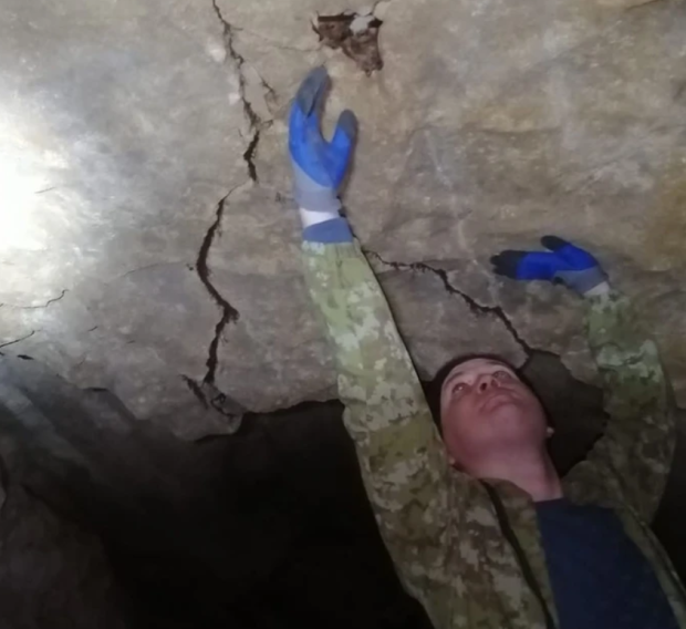 В Сибири у летучих мышей обнаружили коронавирусы