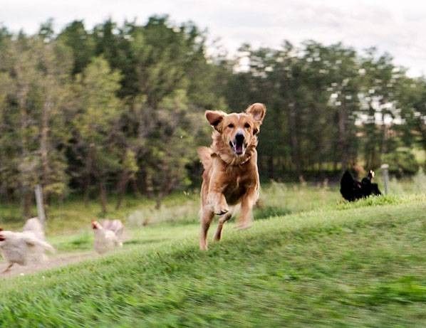 Подборка фильмов на вечер