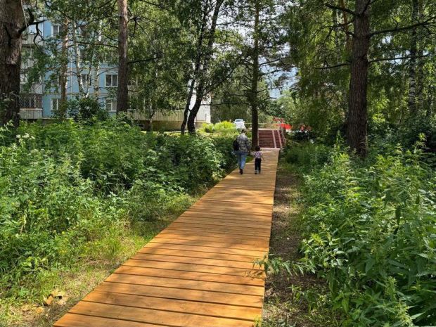 В Нижней Ельцовке появилась экотропа