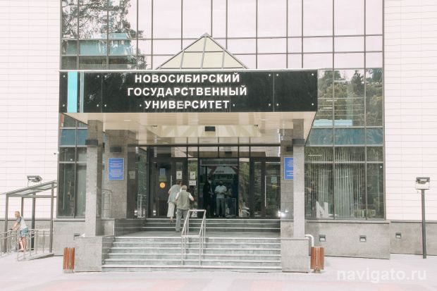 Демоверсию переводчика русского жестового языка разработали в НГУ