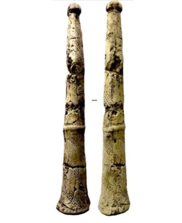 Древнейший календарь Евразии передадут в Академгородок