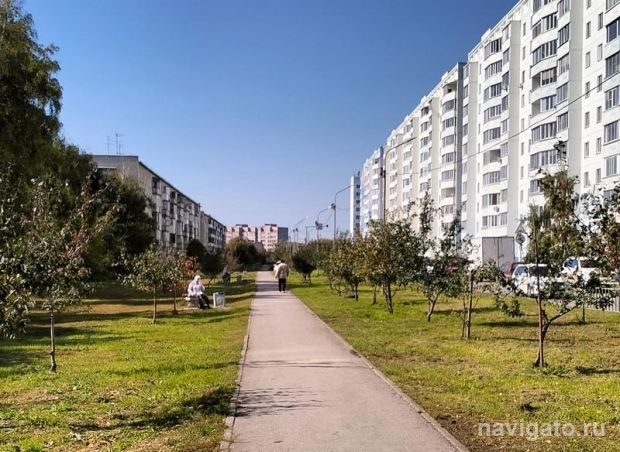На четыре дня в Новосибирске задержится бабье лето