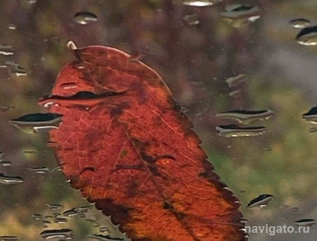О погоде на выходных рассказали метеорологи Новосибирска