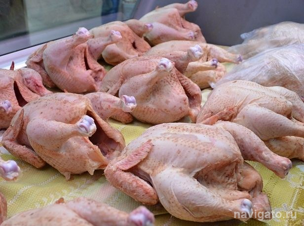 Куриный бульон: лечебные свойства и рецепты