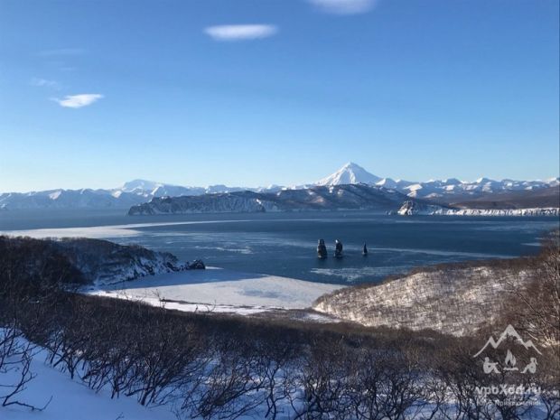 Уникальная флора и фауна Кавказа и Сахалина - эндемики и необычные виды на горнолыжных маршрутах
