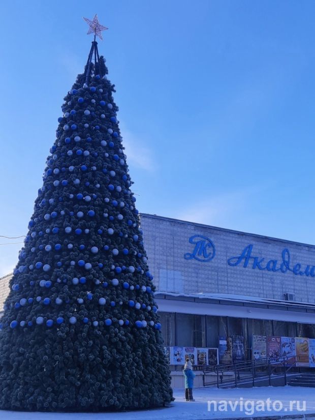 Три большие елки установят в Советском районе в 2024 году