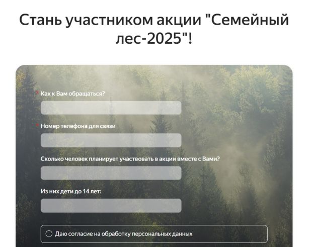 Свой семейный лес могут высадить новосибирцы в 2025 году