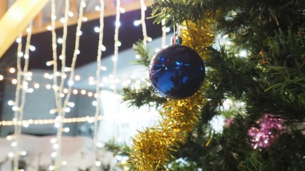 Депутат Госдумы Александр Аксененко принял участие в акции «Елка желаний»