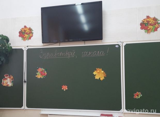 Школьное оборудование