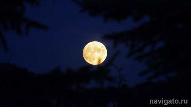 «Чёрная» Луна будет на небе в новогоднюю ночь