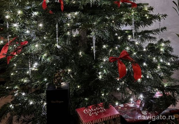 Новосибирская таксистка поделилась новогодними историями