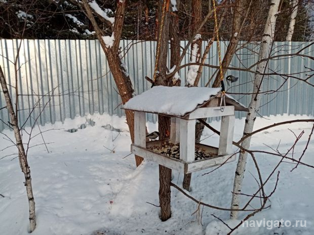 Без крещенских морозов, но с опасной оттепелью