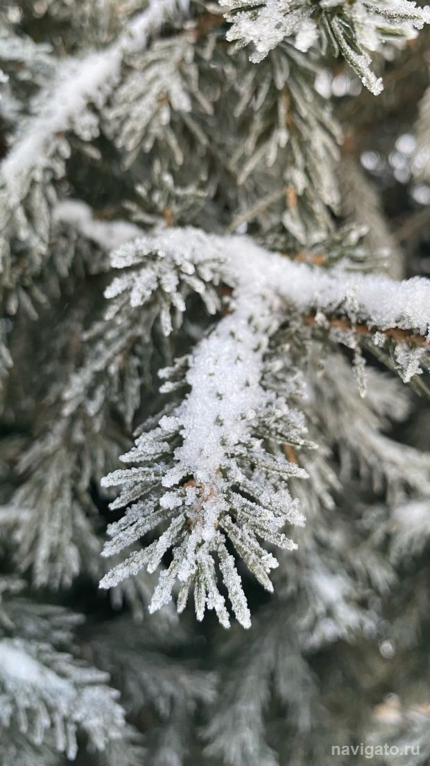 Готовимся к резкому похолоданию до минус 32 градусов