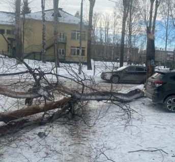Следователи начали проверку по фактам травмирования детей в непогоду