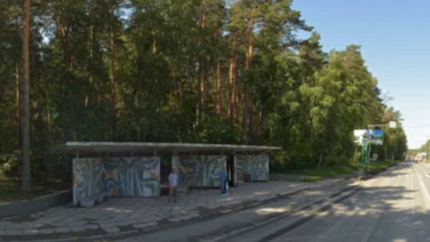 Мозаичную остановку на проспекте Строителей могут признать памятником