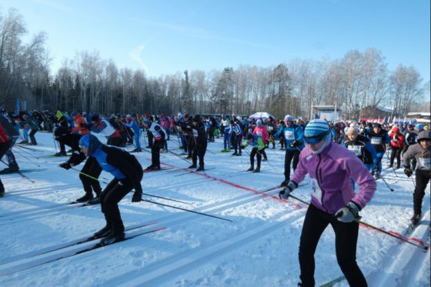 В Новосибирской области более 15 тысяч человек участвовали в Лыжне России