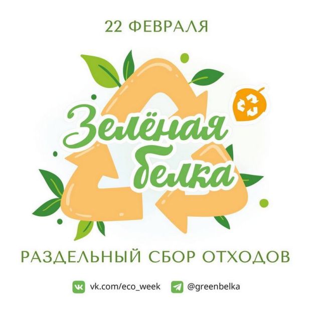 Вторсырьё в Советском районе примут волонтёры «Зелёной белки»