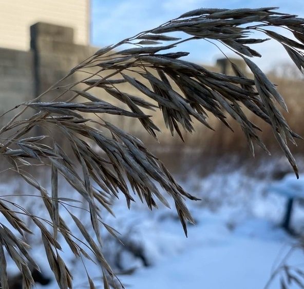 Экстренное предупреждение объявили в Новосибирской области