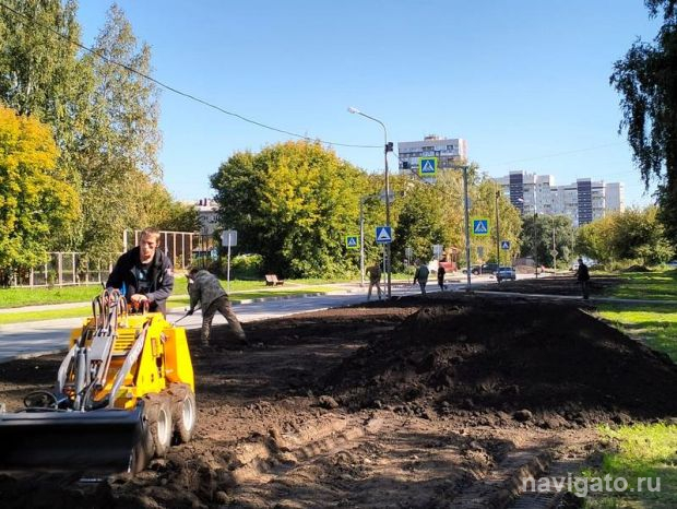 135 миллионов рублей направят на восстановление газонов