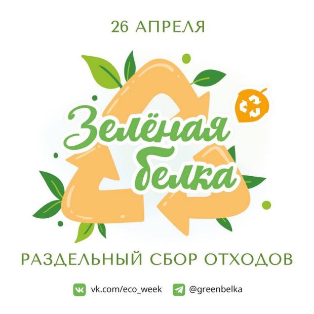 Волонтёры акции «Зелёная белка» приглашают сдать вторсырьё