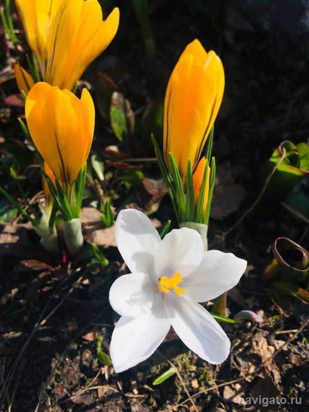 Погода резко испортилась в Новосибирске