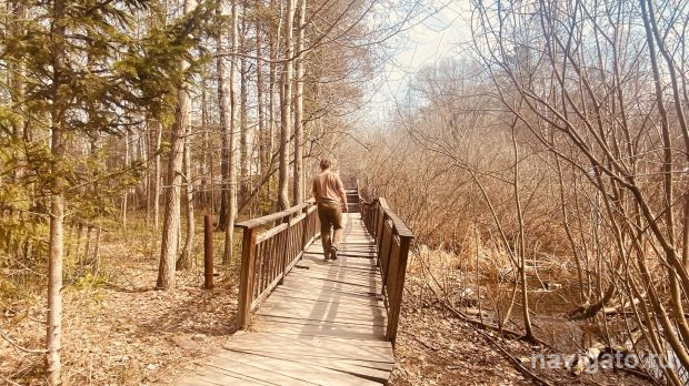 Жители Верхней зоны переживают за пруд с утками на улице Золотодолинской
