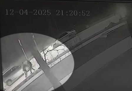 На проспекте Строителей ограбили мужчину (видео)