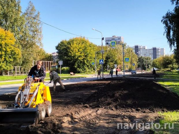Какие работы проведут по проекту восстановления газонов в Советском районе