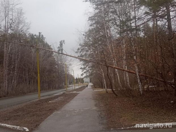 Похолодание и сильный ветер надвигаются на Новосибирск