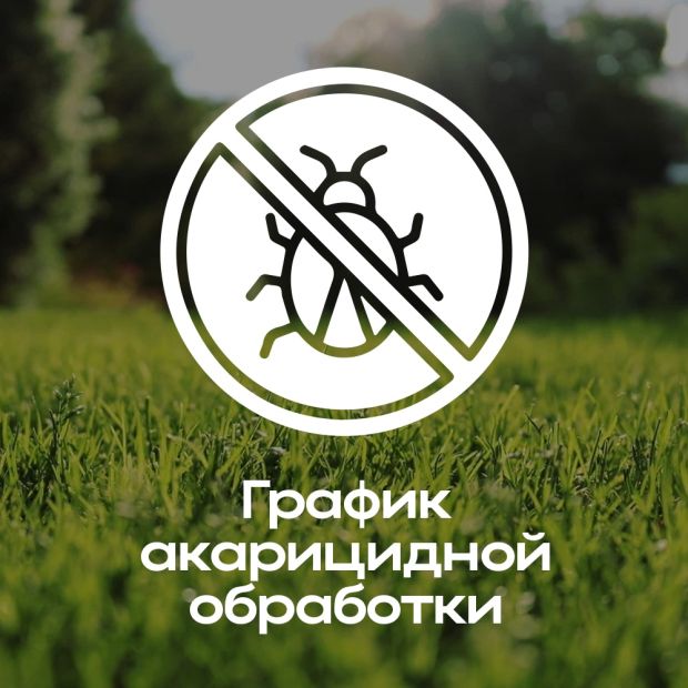 Горожан просят не ходить в парк «У моря Обского»