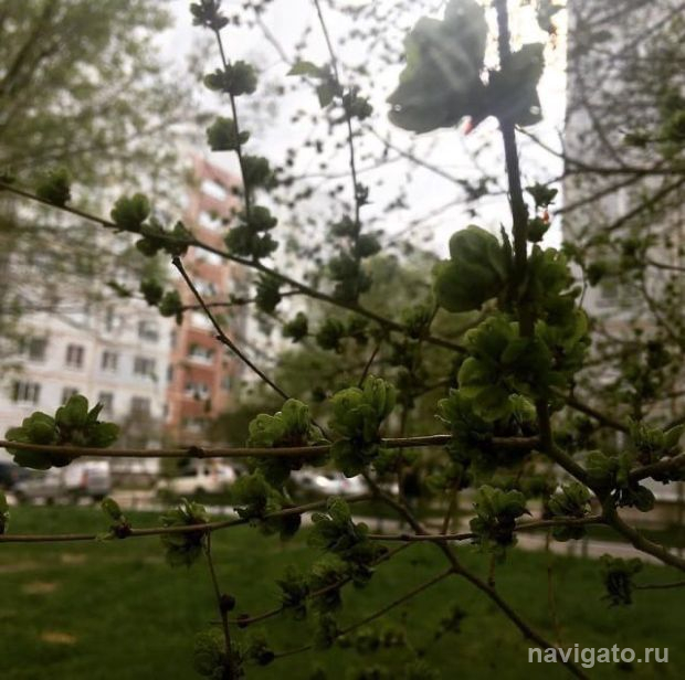 Последние дни апреля будут дождливыми