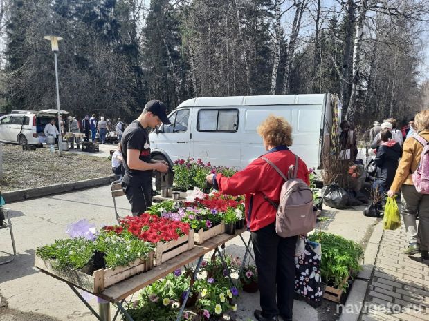 Весенней садоводческой ярмарки около Дома ученых не будет
