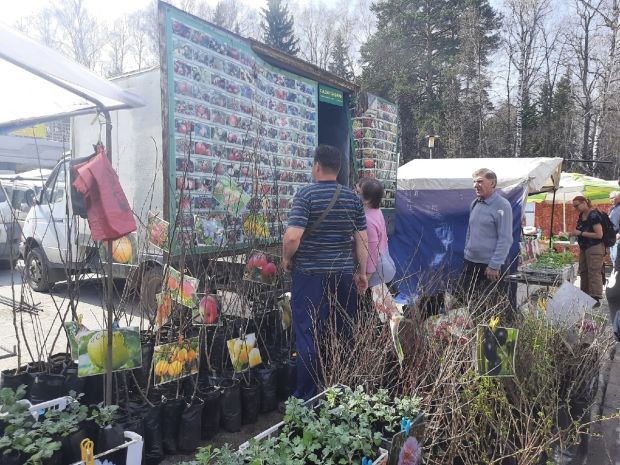 В Советском районе пройдет универсальная ярмарка