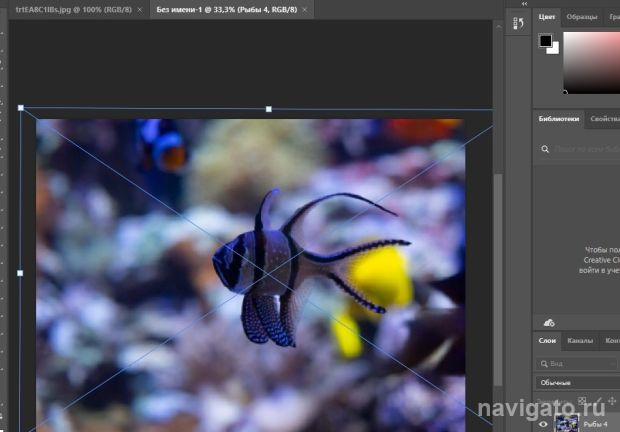 Курсы графического дизайна для детей: креативное мышление и высокие технологии