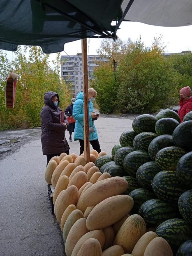 Более 700 тонн дынь и арбузов привезли в Новосибирск