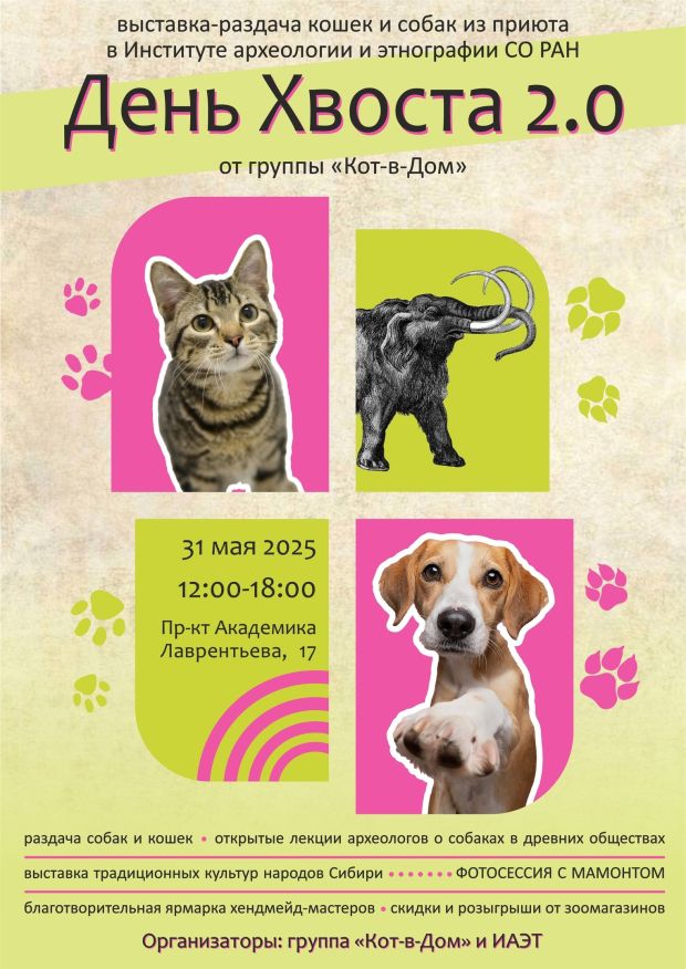В Институте археологии и этнографии СО РАН пройдёт необычный День хвоста