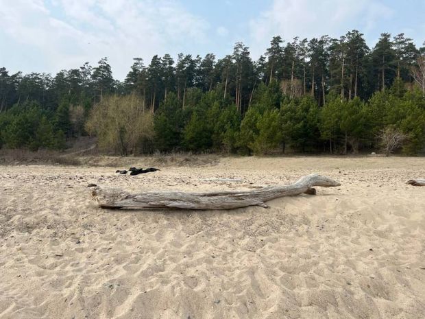 Жару в 30 градусов обещают синоптики на этой неделе