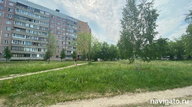 Прокуратура проверяет парки и скверы Новосибирска