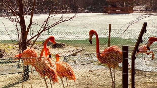 Фестиваль «Экомир» пройдет в новосибирском зоопарке