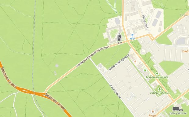 В Новосибирске ищут проектировщика дороги в Академгородке