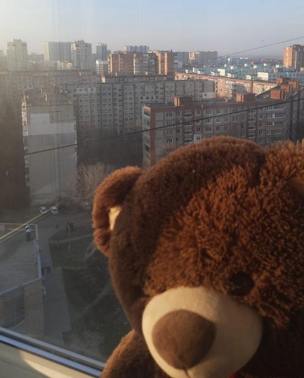 Ребенок выпал из окна четвертого этажа в Бердске