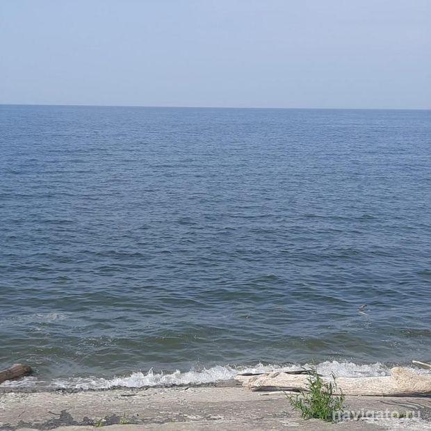 Спасатели достали из воды пьяного новосибирца