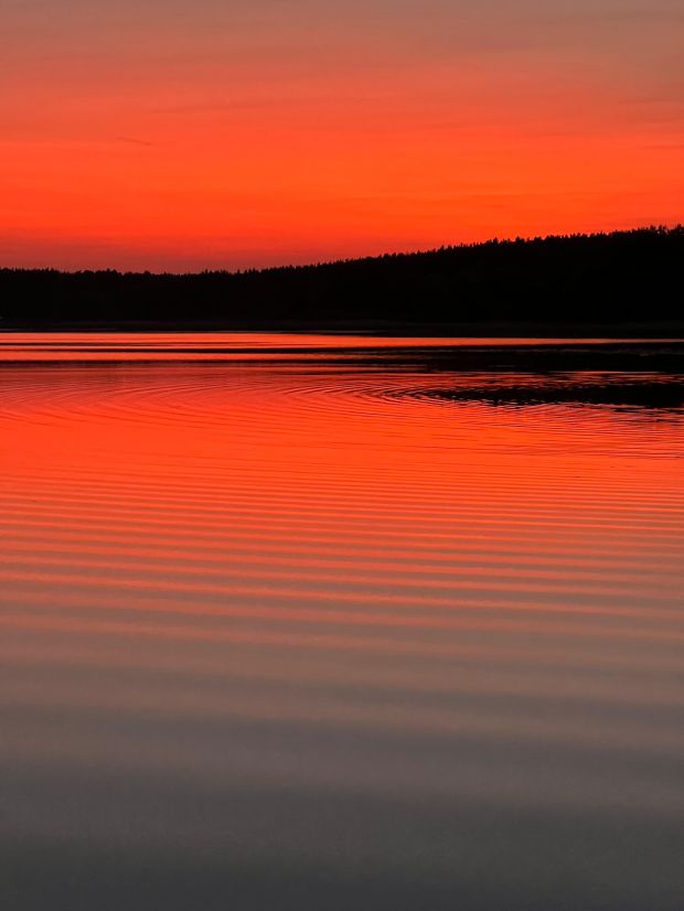 МВД России заплатит за ошибку в загранпаспорте сибирячки